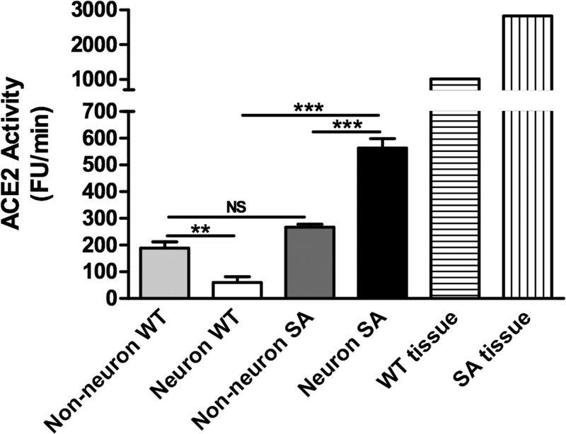 Figure 7: