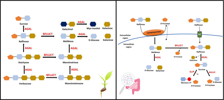 Figure 3