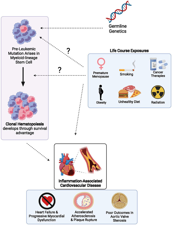 Figure 1: