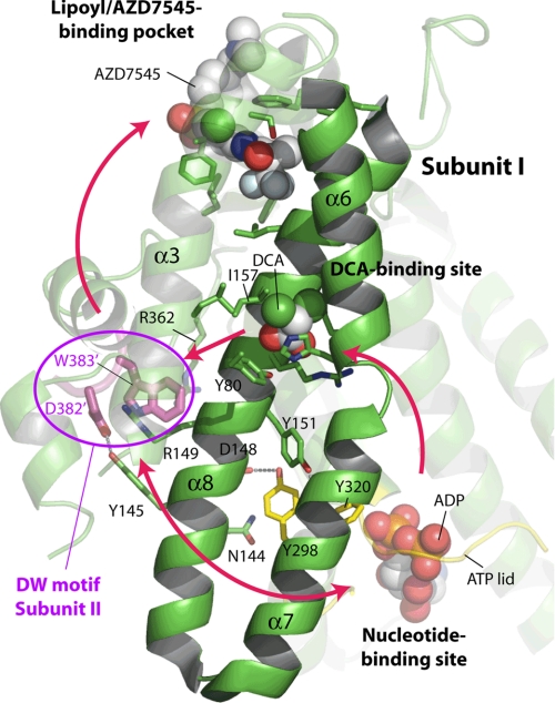 FIGURE 7.