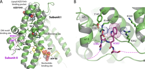 FIGURE 1.