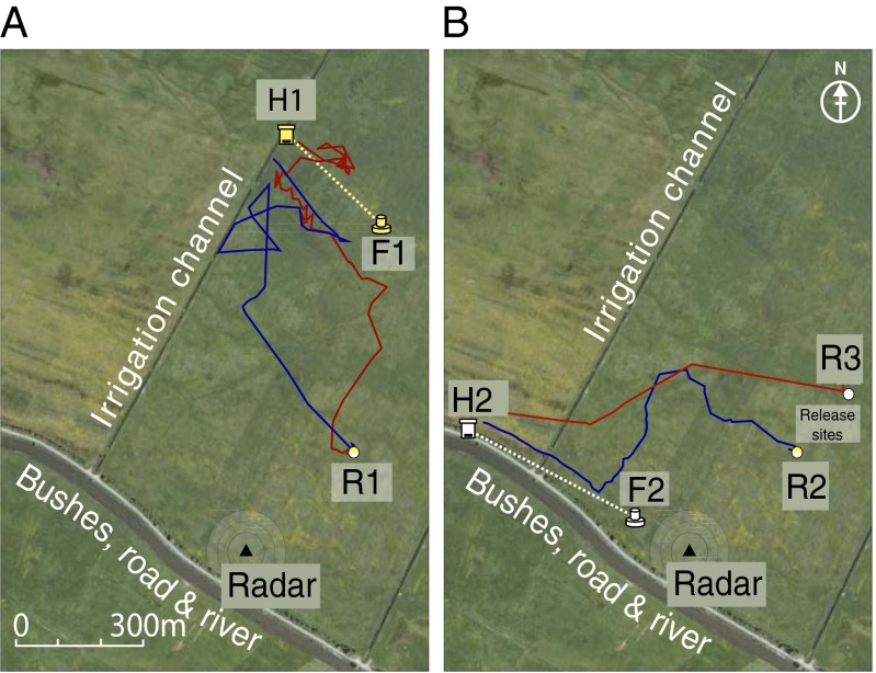 Fig. 2.