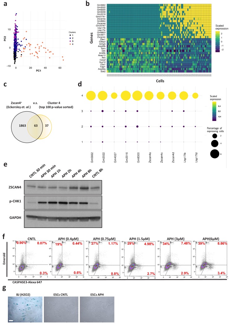 Figure 1—figure supplement 1.