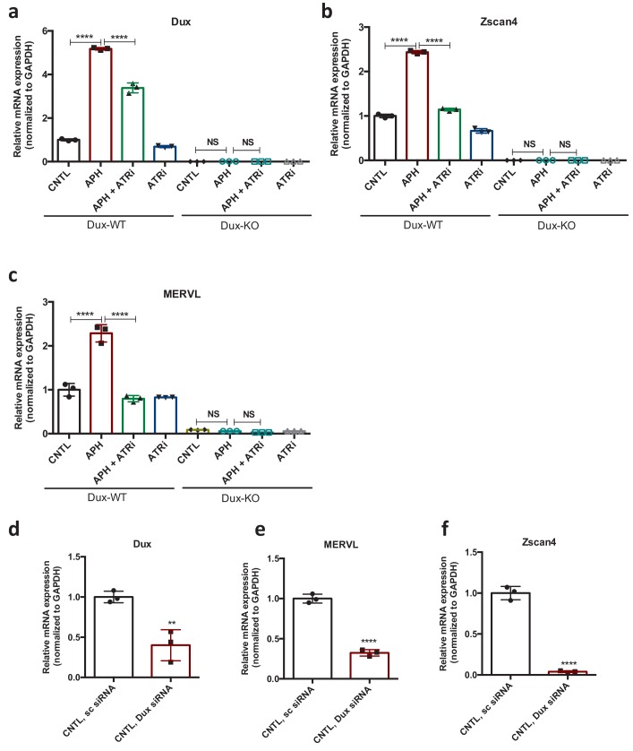 Figure 3—figure supplement 2.