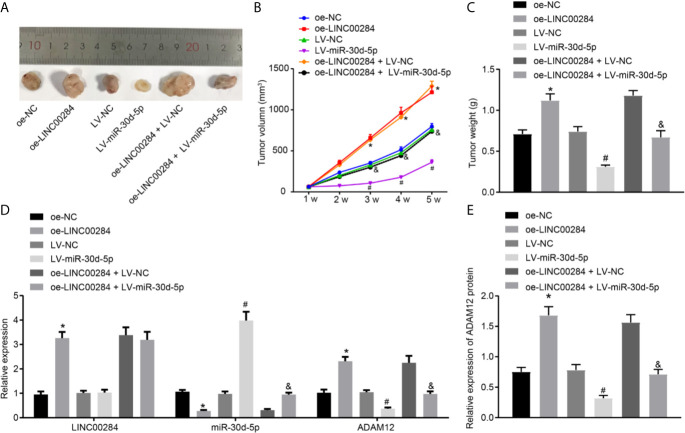 Figure 6