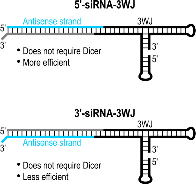 graphic file with name CHEM-28-0-g002.jpg