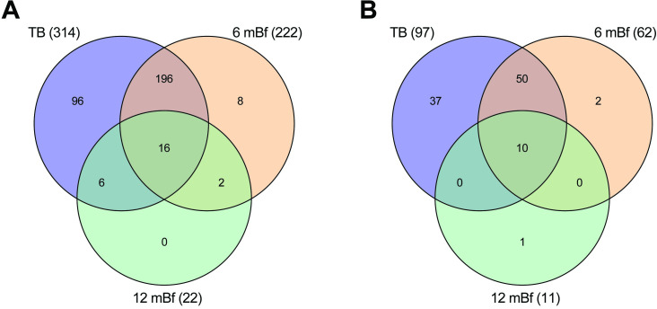 Fig 5