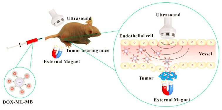 Figure 15