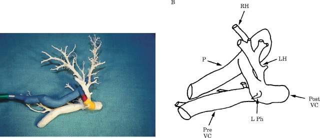 Fig 5.