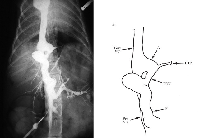 Fig 1.