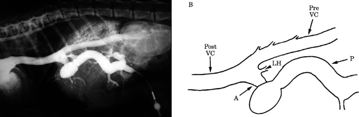 Fig 2.