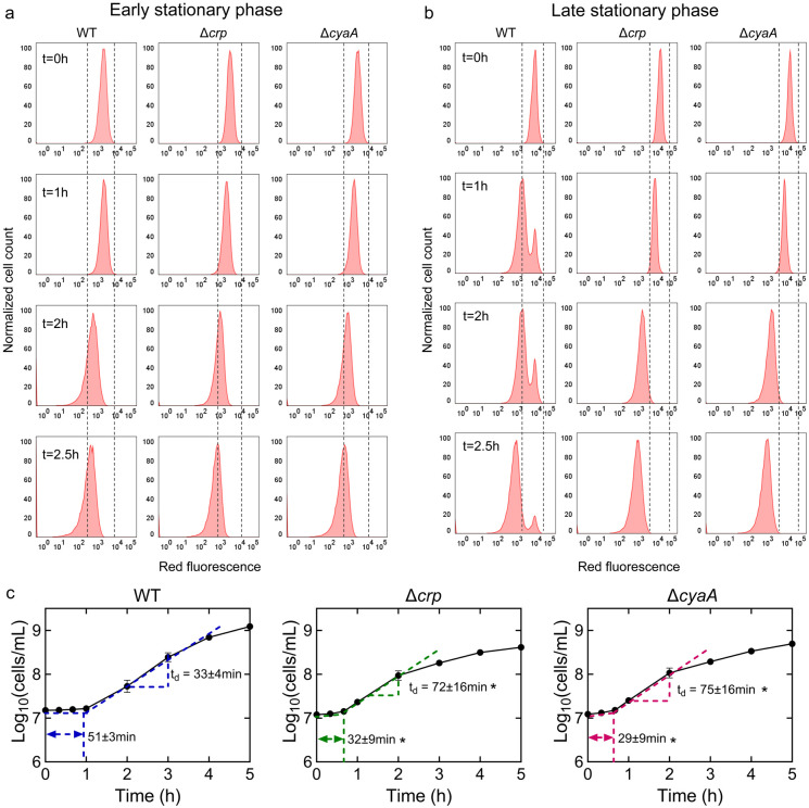 Figure 4: