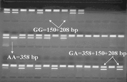 Figure 1)