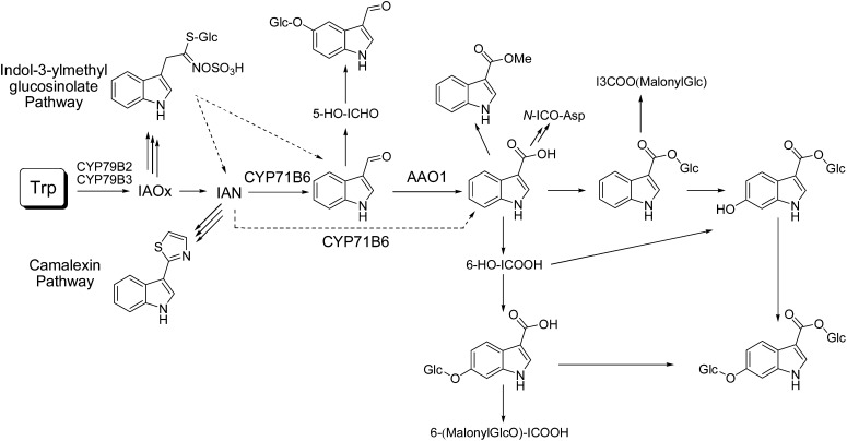 Figure 1.