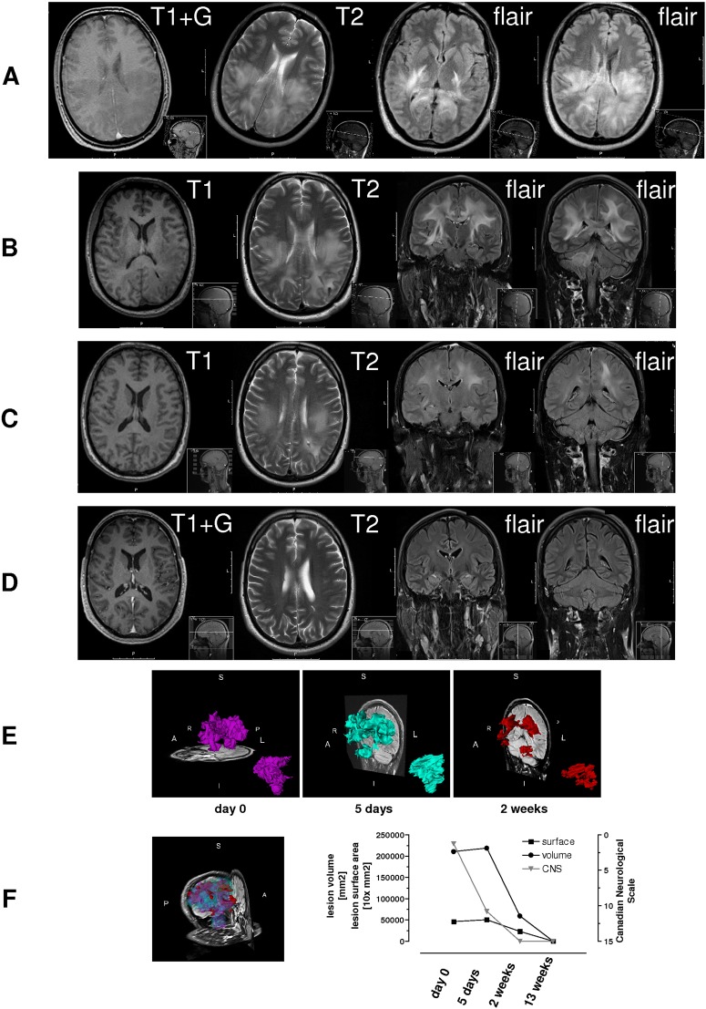 Figure 1