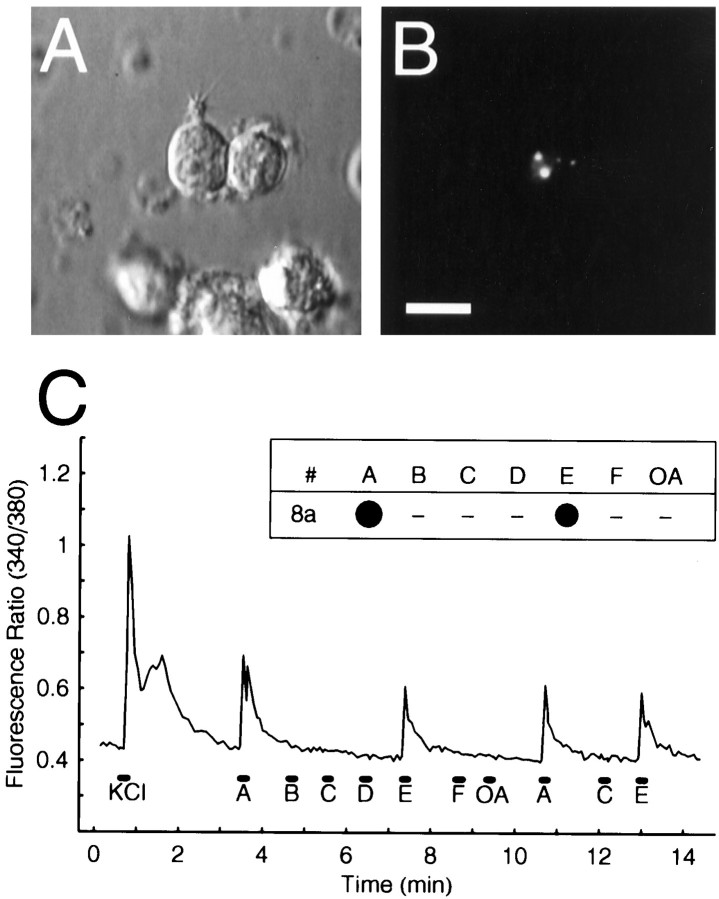 Fig. 3.