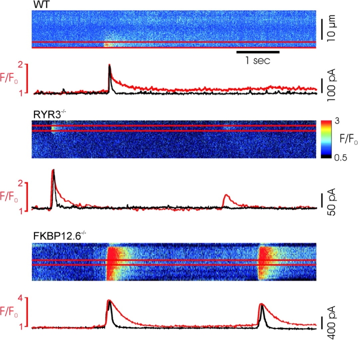 Figure 3. 