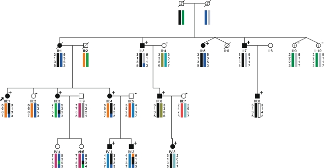 Fig. 1