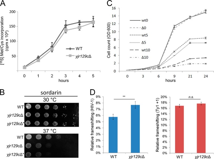 FIGURE 4.