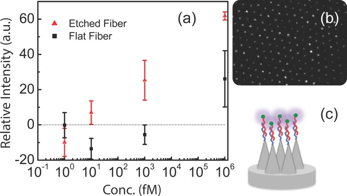 FIG. 10.