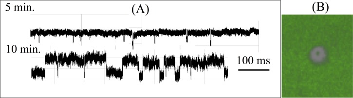 FIG. 8.