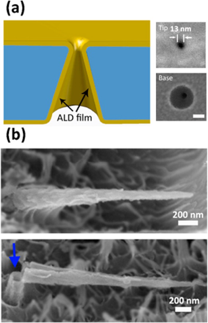 FIG. 7.