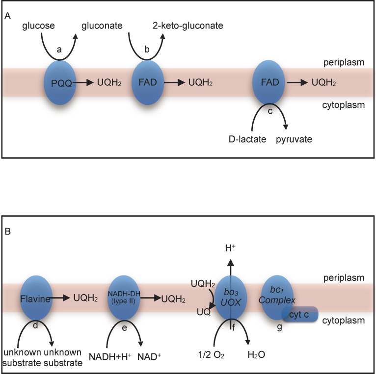 Fig 2