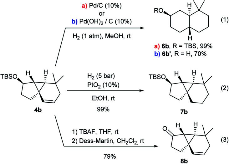 Scheme 5