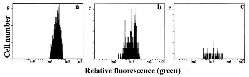 FIG. 5