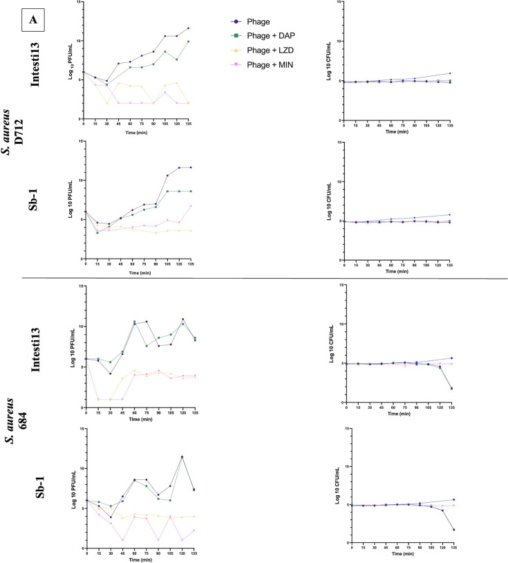 Fig 5