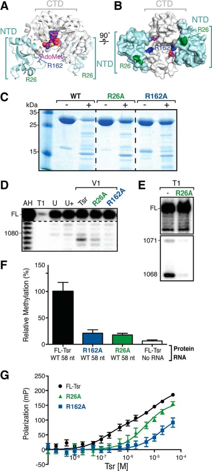 FIGURE 7.