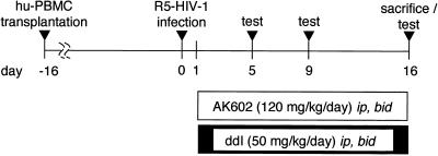 FIG. 2.