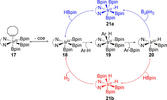 Scheme 4