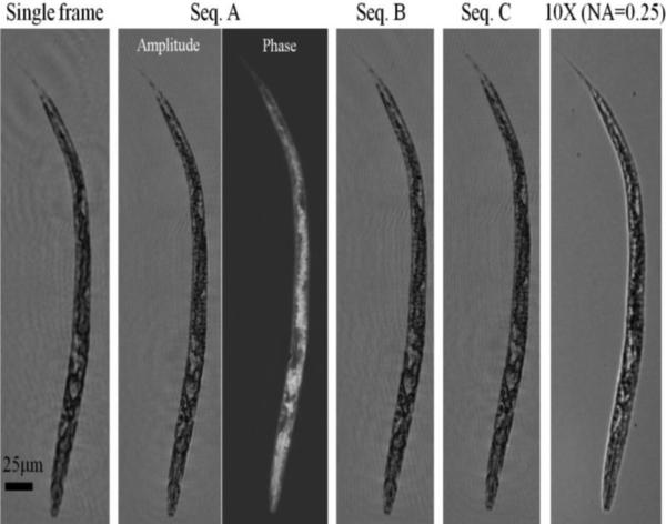 Fig. 7