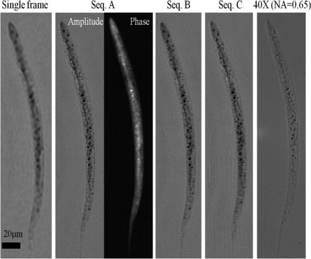 Fig. 4