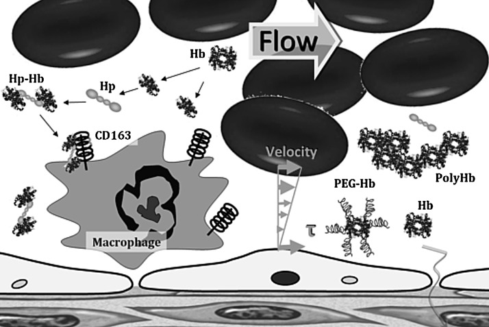 FIG. 4.