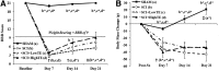 <b>FIG. 2.</b>