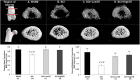 <b>FIG. 4.</b>