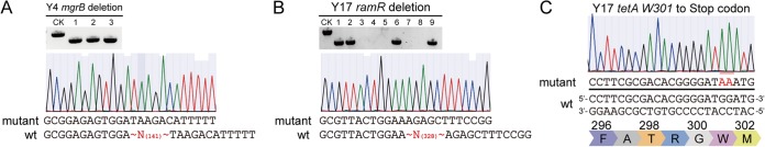 FIG 1