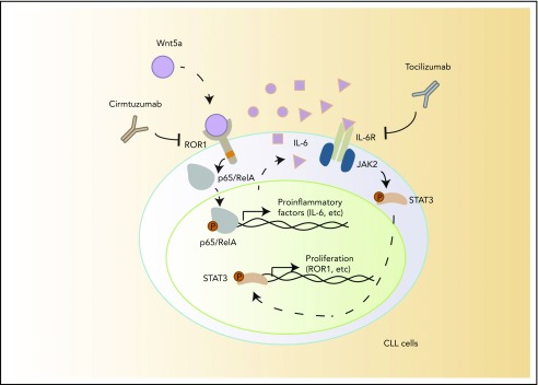 Figure 6.