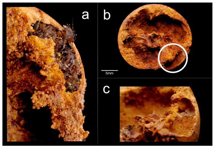 Figure 10