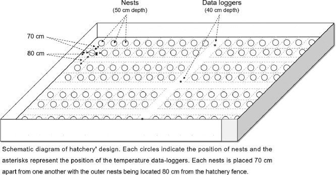 Image, graphical abstract