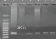 Figure-5