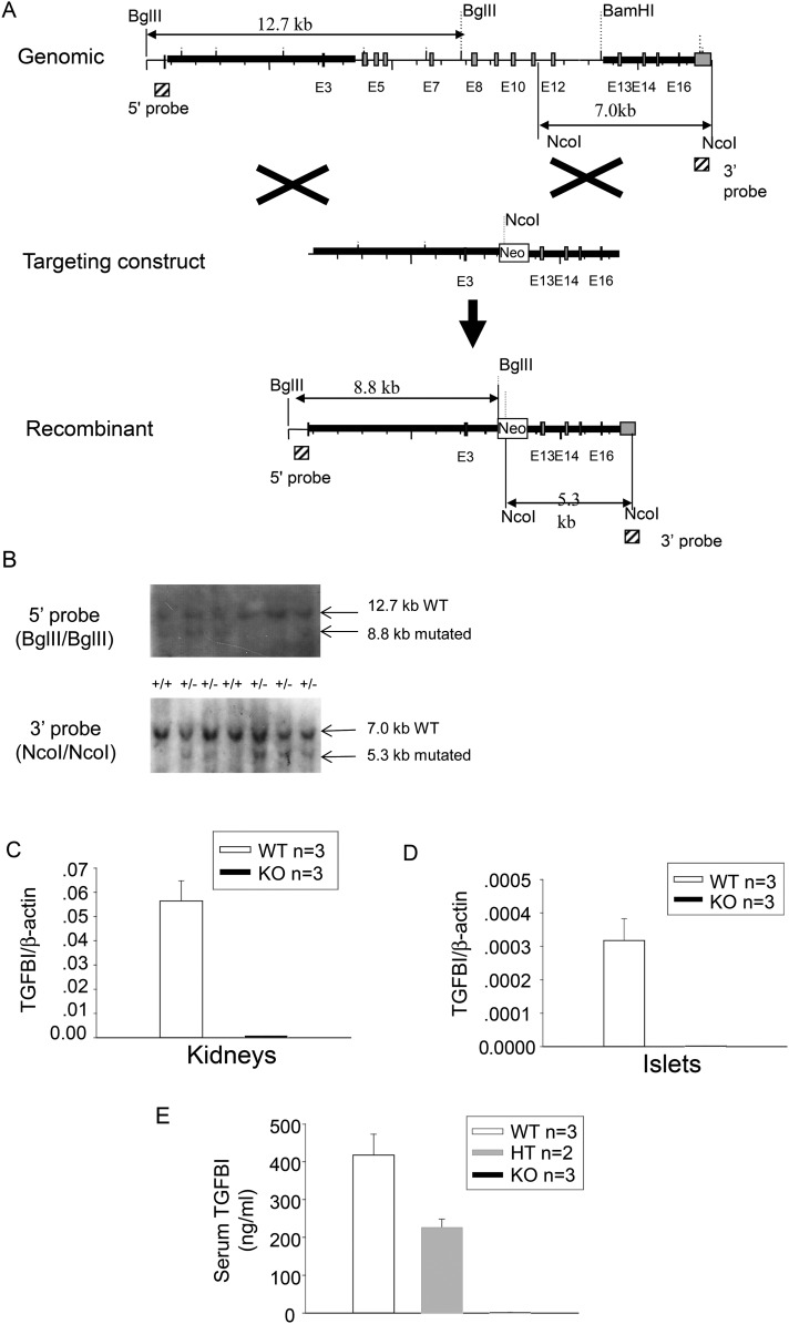 Figure 1.