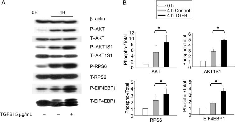 Figure 5.