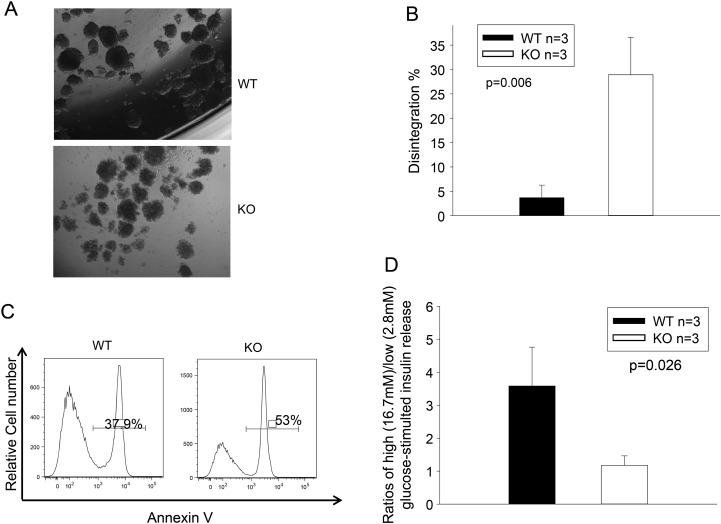 Figure 2.