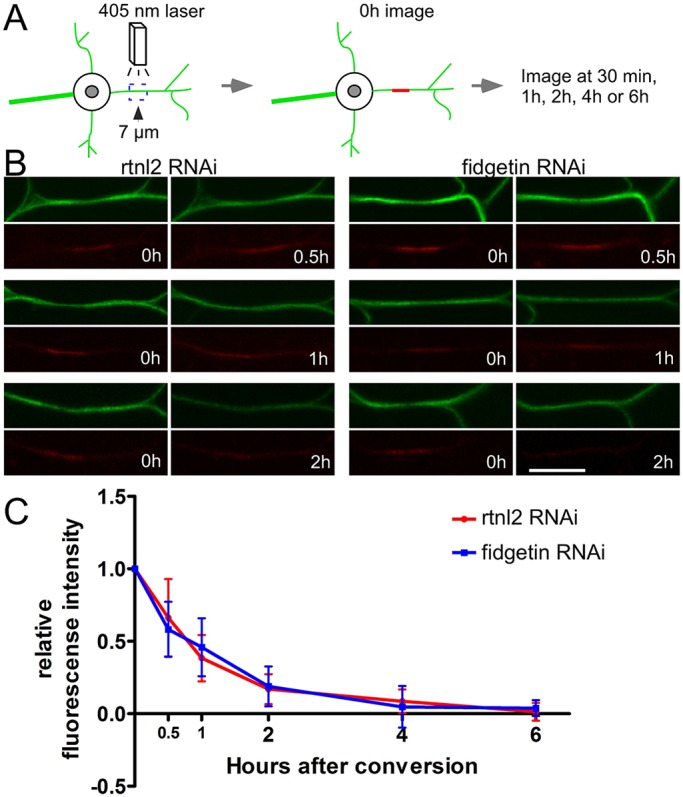 Fig. 6.