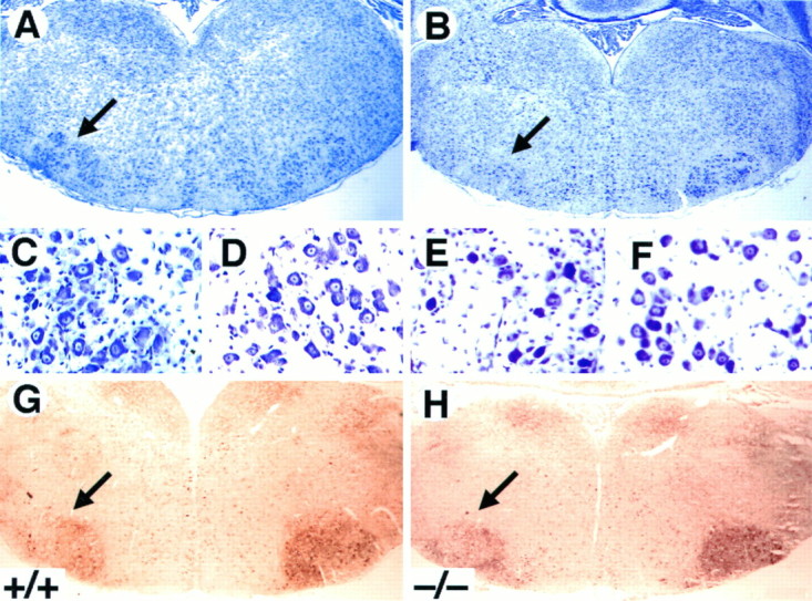 Fig. 9.