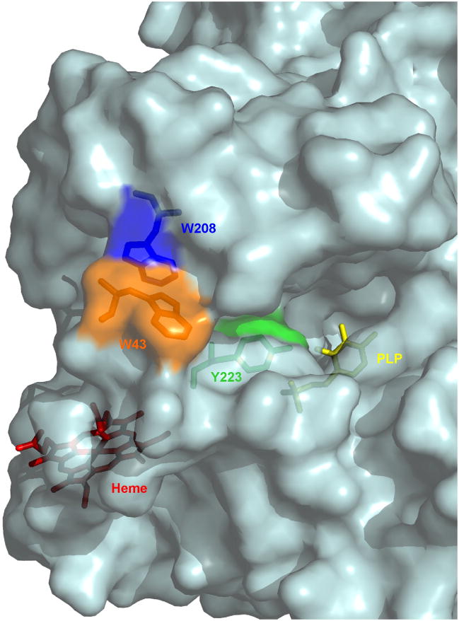 Fig. 8