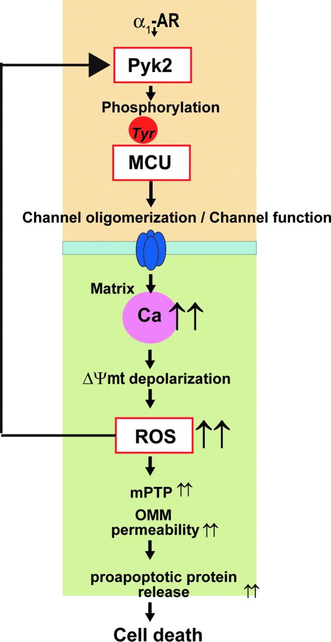 FIG. 10.
